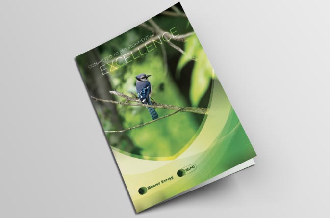 image of brochure design